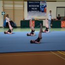 IIDNICSIR 80
